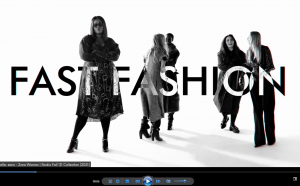 Screenshot-Campaign-against-Fast-Fashion